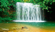 Rio Icho